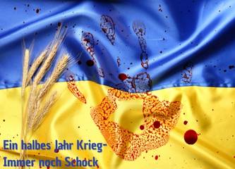 Ukraine Flagge mit blutigem Handabdruck - Ein halbes Jahr Krieg Immer noch Schock